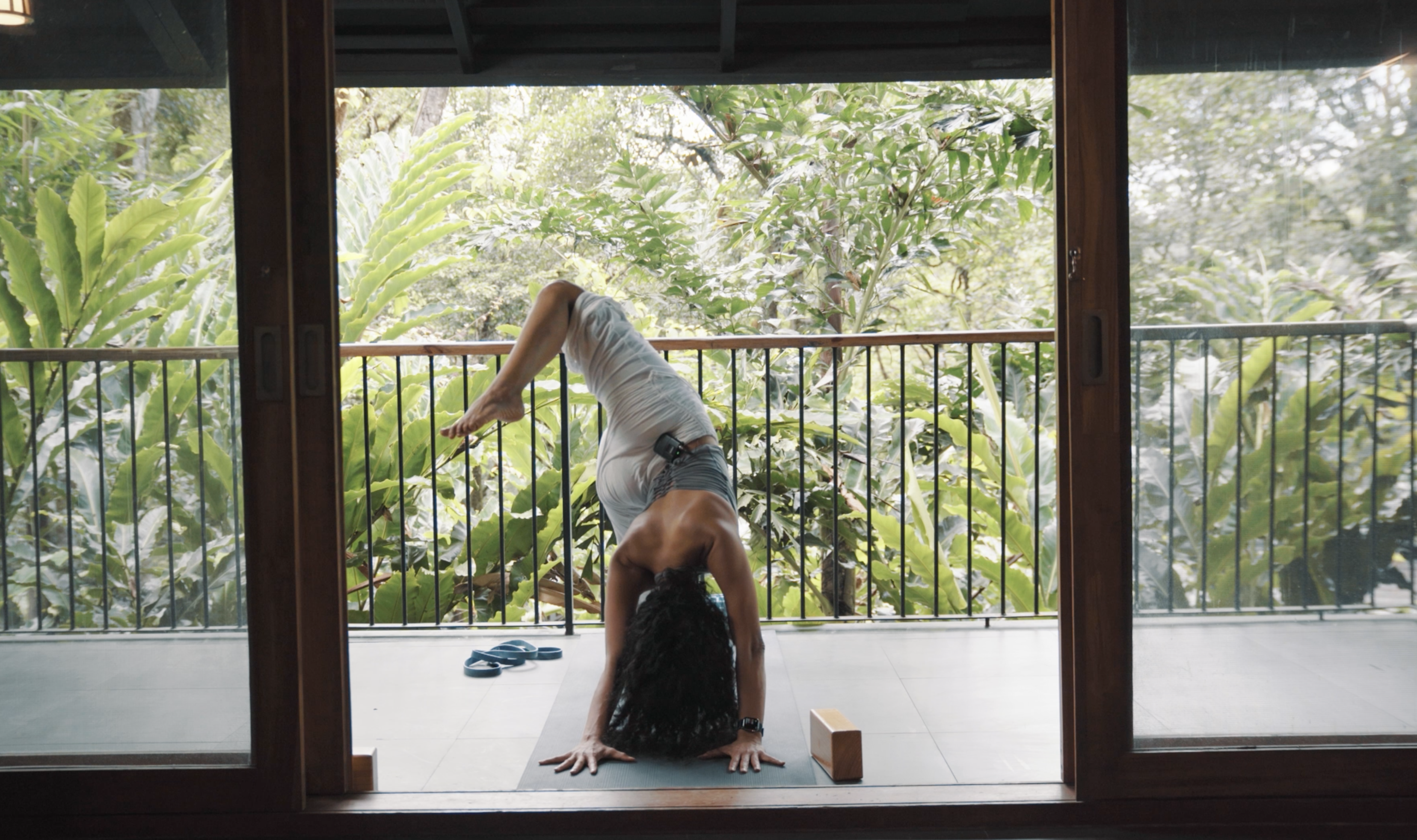 Flexibility & Mobility