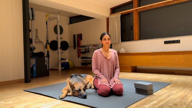 Day 6 - Meditation and Mindfulness