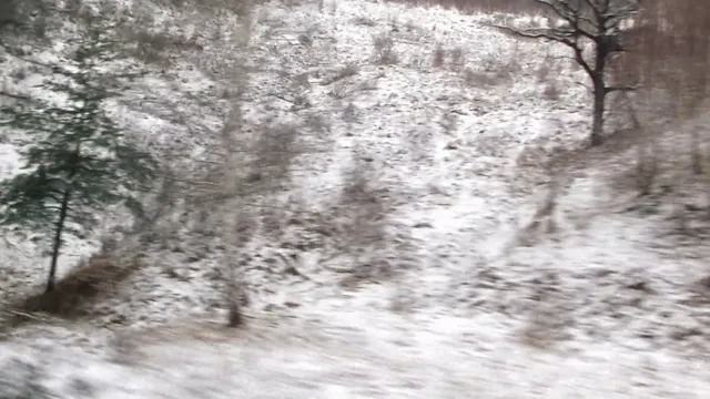 A Fleeting Passage to the orient / Ein Flüchtiger Zug nach dem Orient