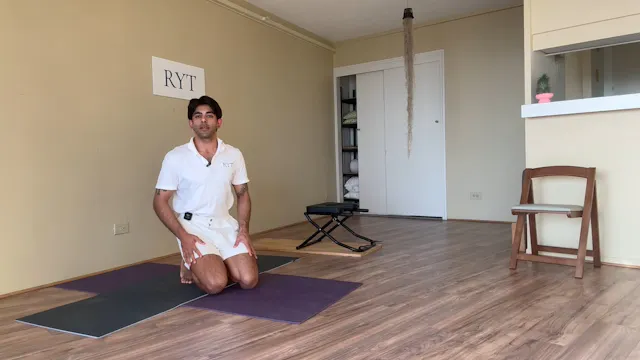 Day 2- Hip Girdle Flow Level 2- Gall ...