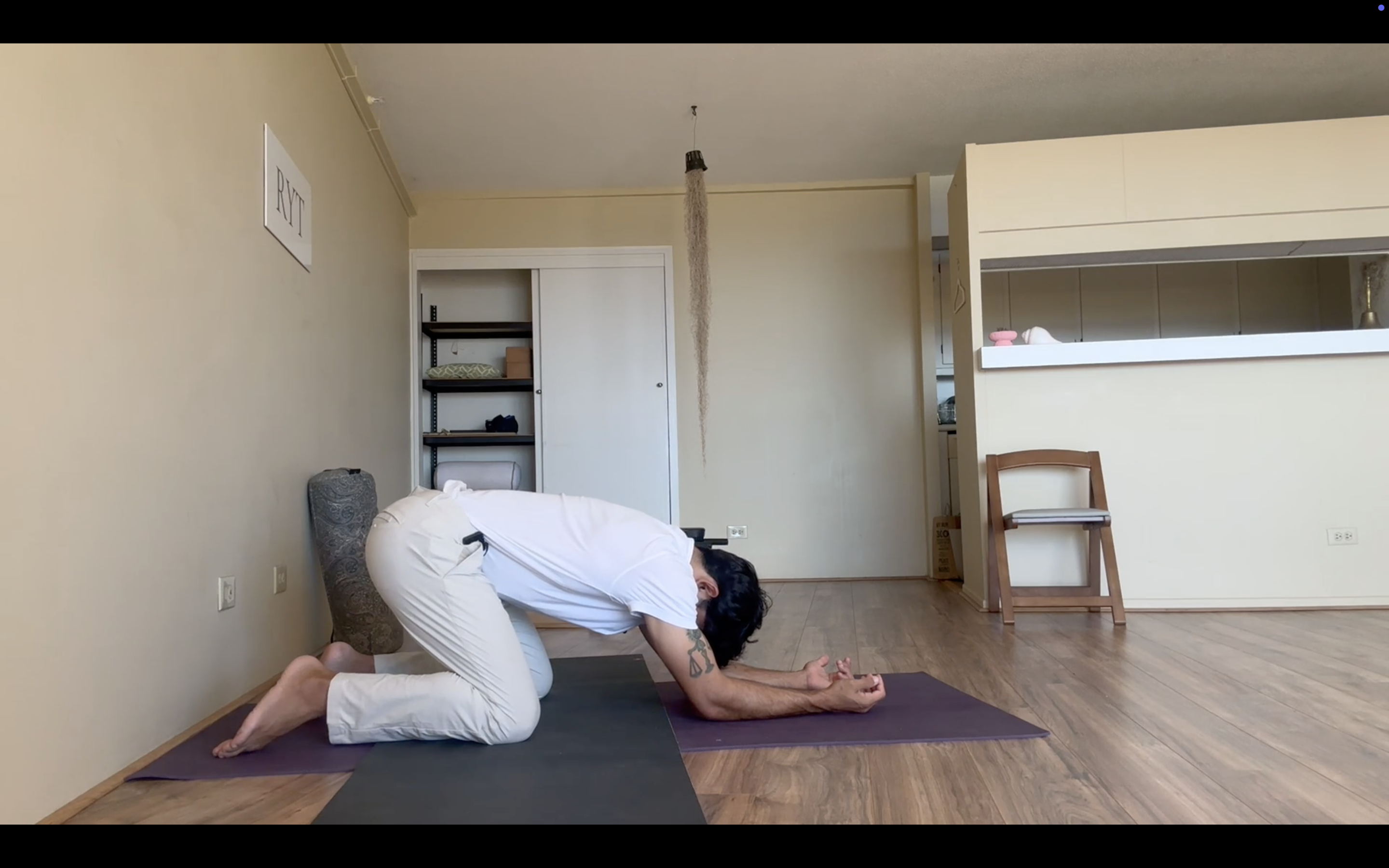 Appendix 3 - Middle Back, Lats