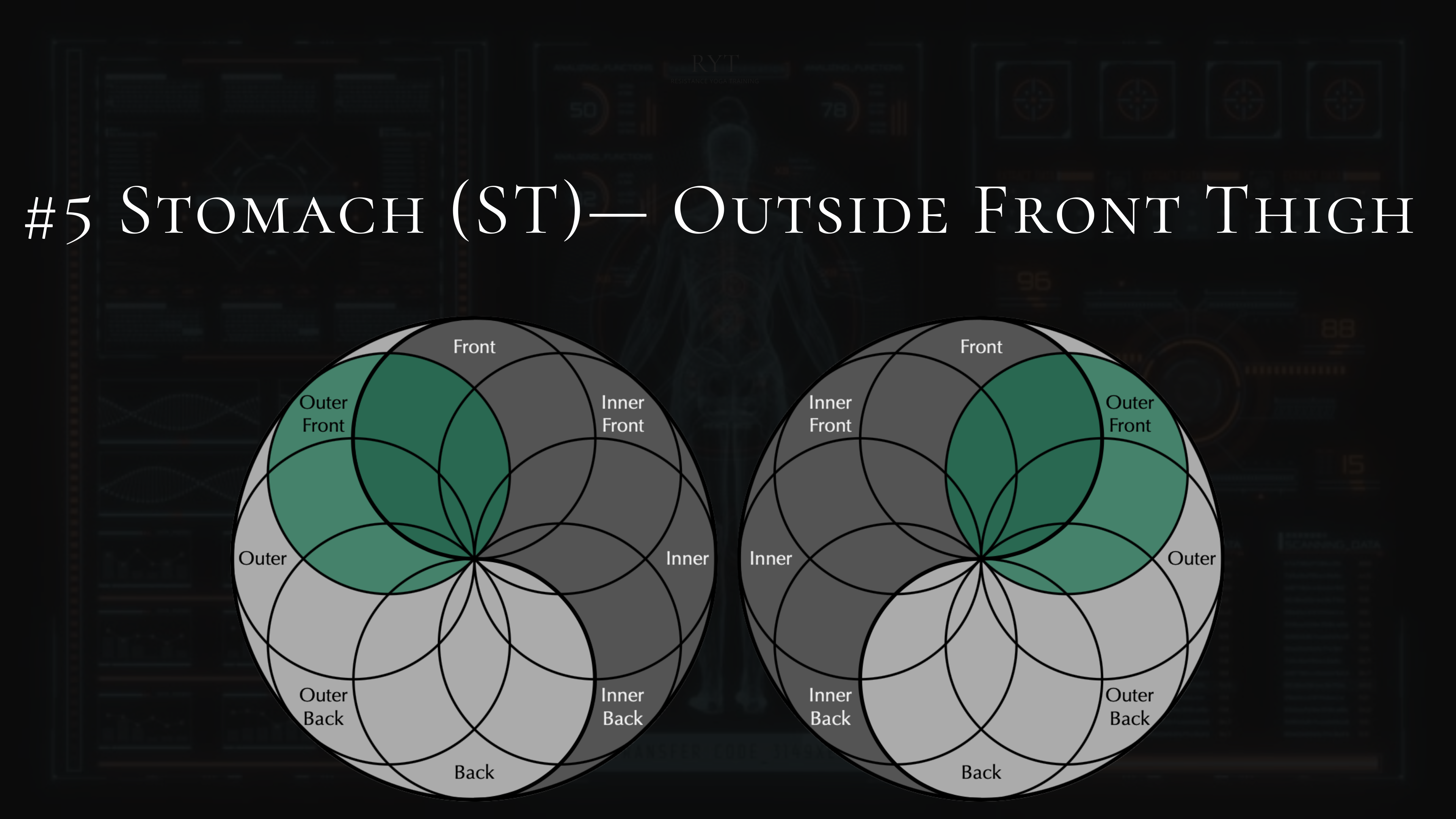 #5- Stomach- Outer Front Thigh