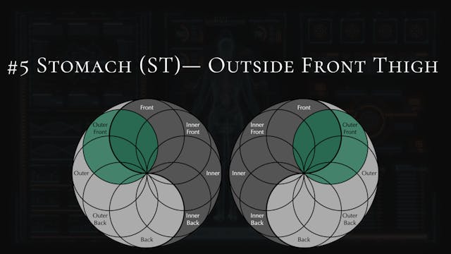 #5- Stomach- Outer Front Thigh