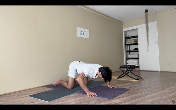 Day 2- Lung-Large Intestine sets- Lev...