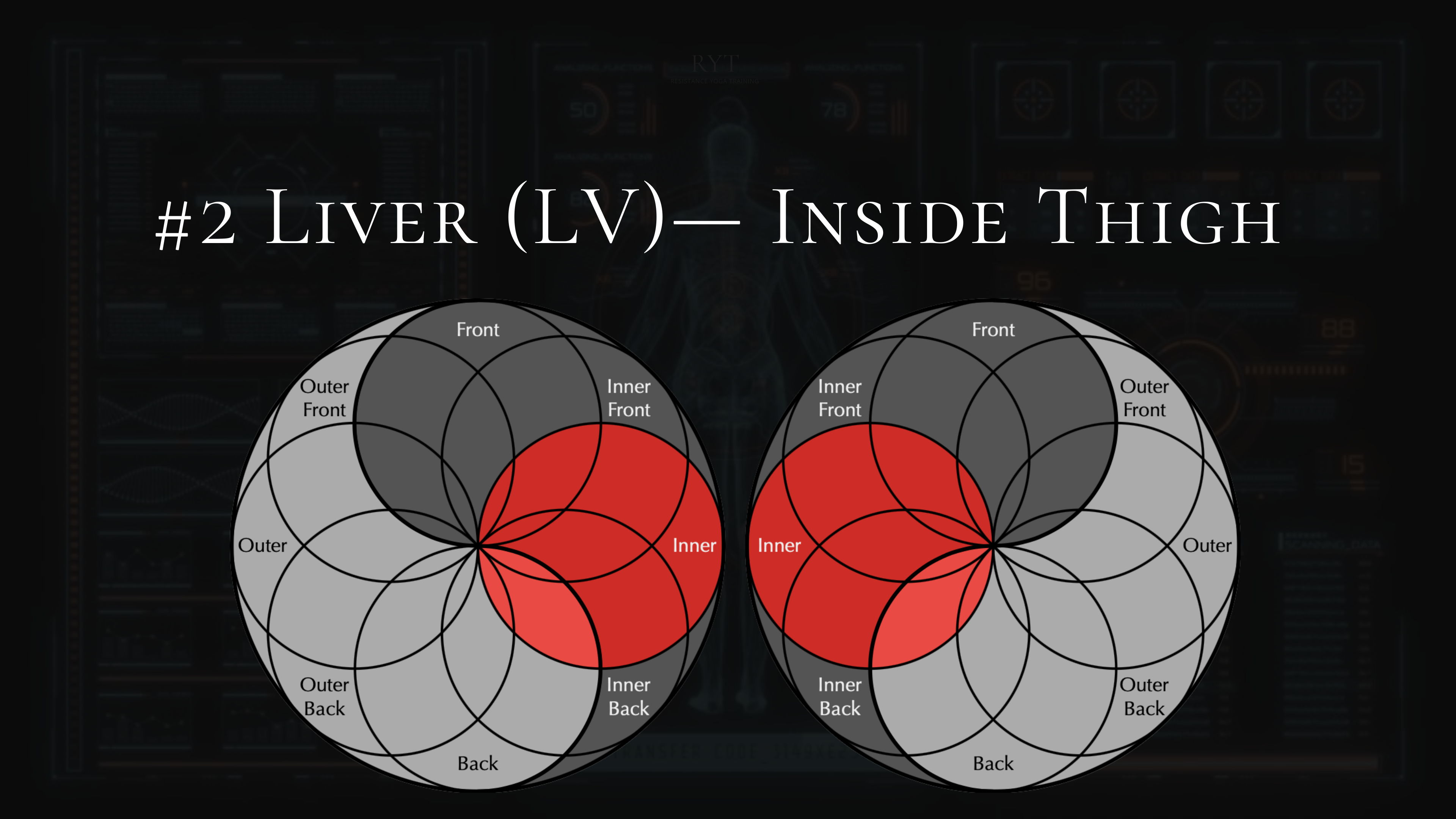 #2- Liver (LV)- Inner Thighs