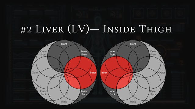 #2- Liver (LV)- Inner Thighs