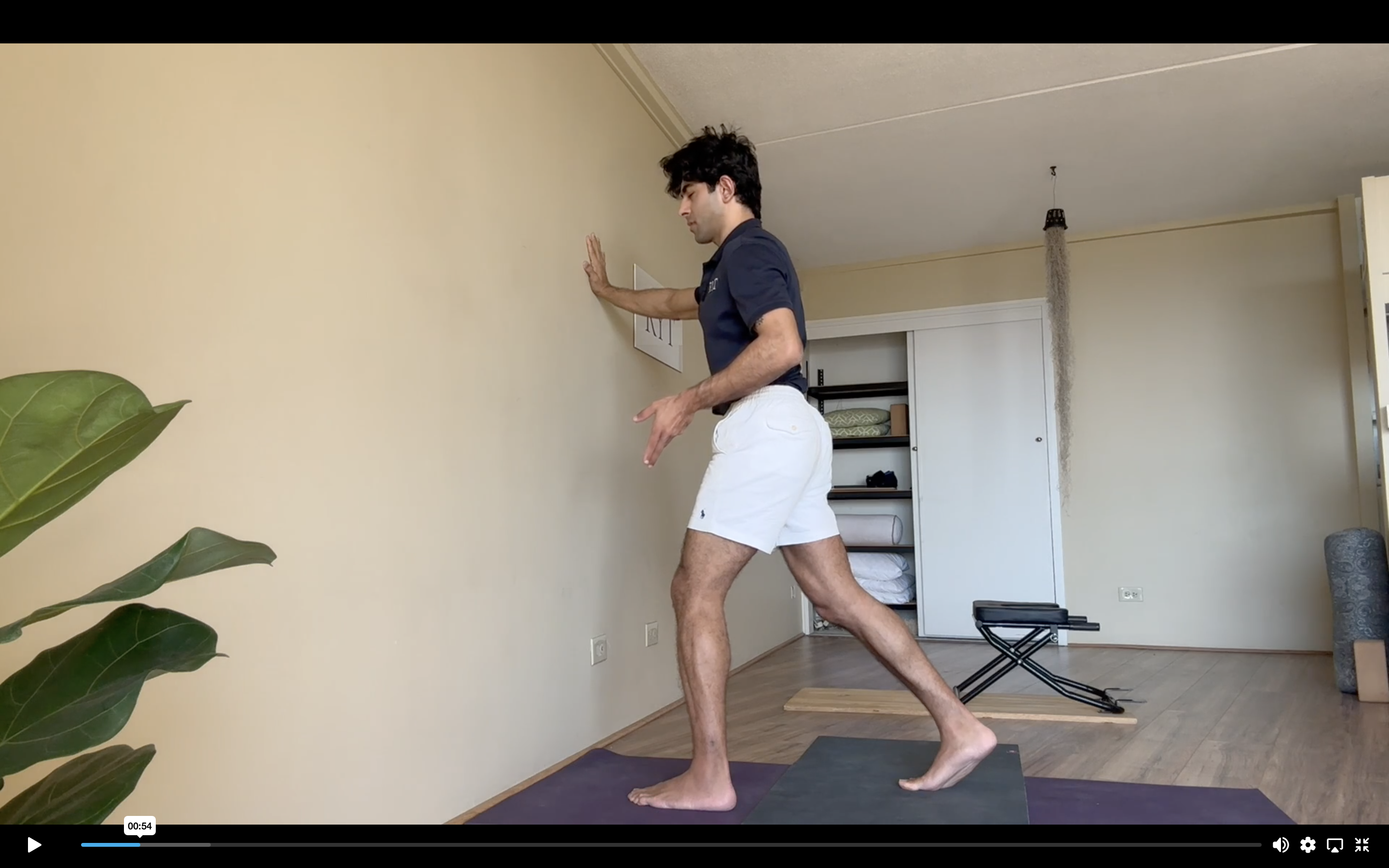 Day 16- Lung-Large Intestine- Level 1