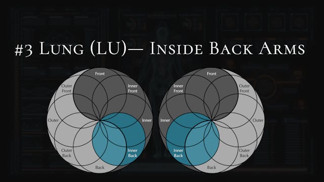 #3- Lung- Chest, Biceps