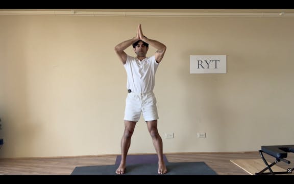 Day 19- Heart-Small Intestine Sets- L...