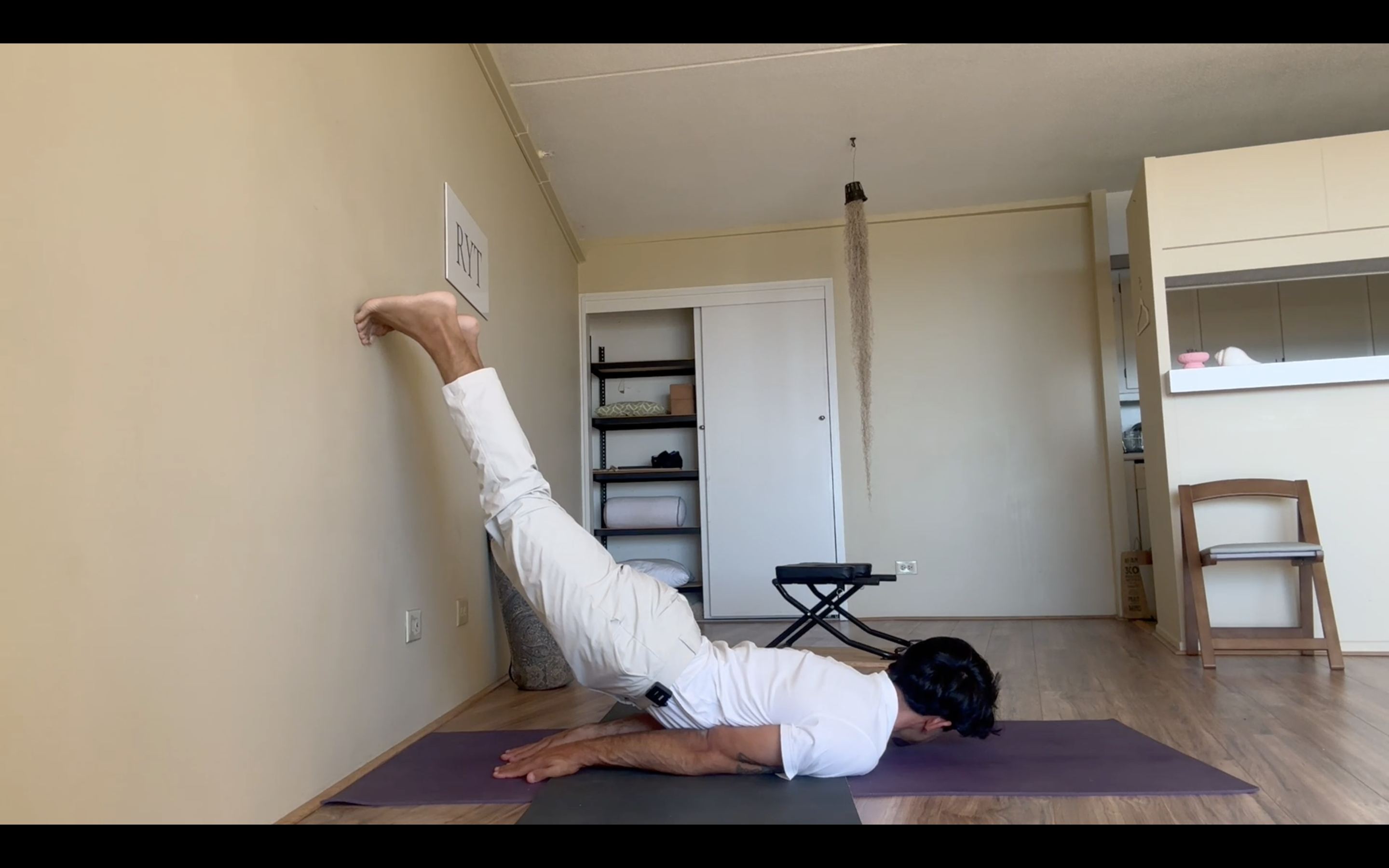 Appendix 6 - Middle Back, Lats