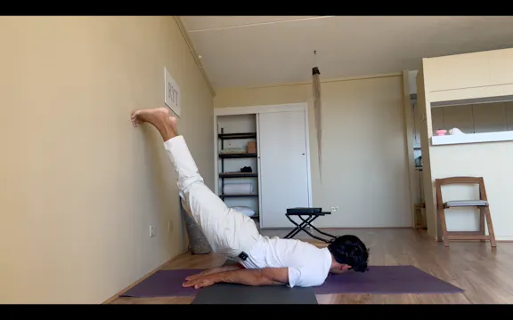 Appendix 6 - Middle Back, Lats