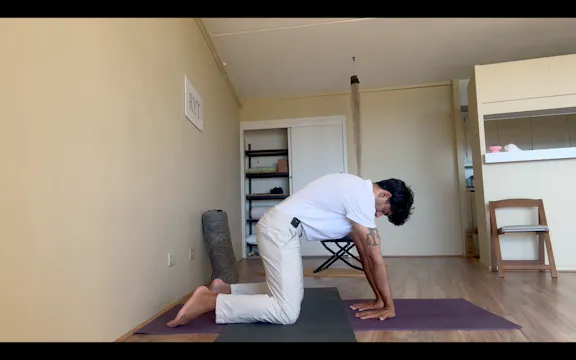 Appendix 4 - Middle Back, Lats