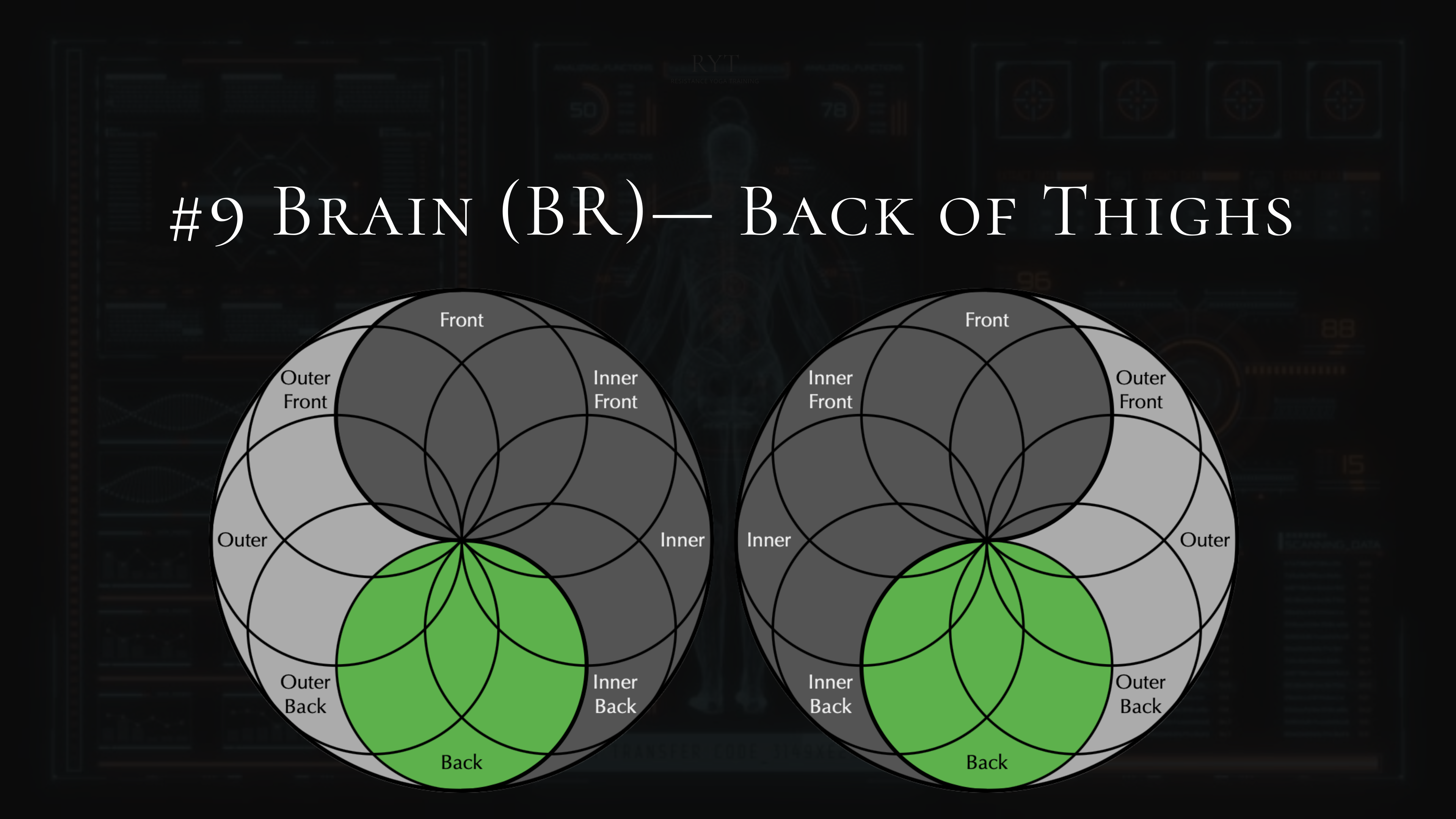 #9- Brain- Back of Thighs