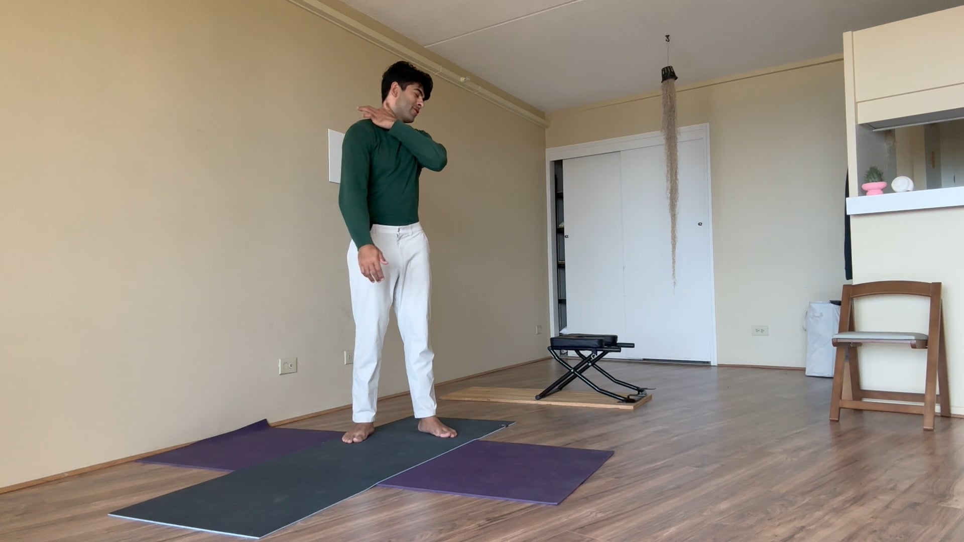 Day 19- Shoulder Joint Flow Class - Large Intestine