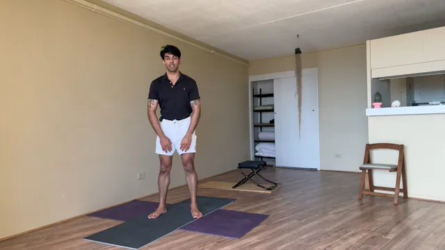 Day 19- Hip Girdle Flow Class - Liver