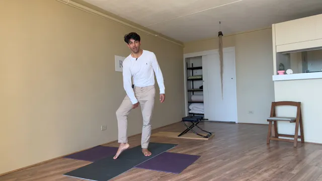 Day 11- Standing Hip Joint Flow- Panc...