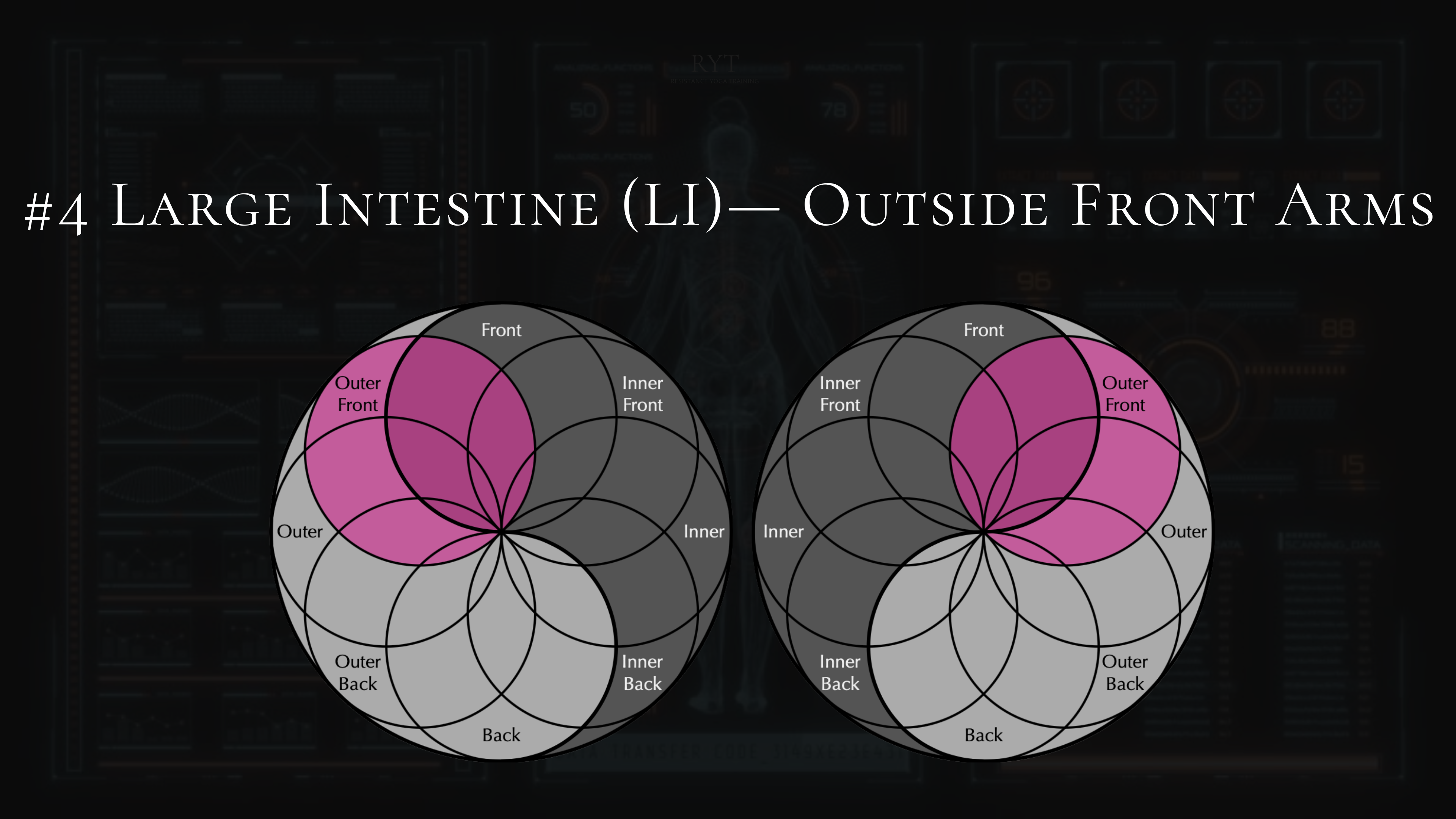 #4- Large Intestine- Top of Shoulders, Neck