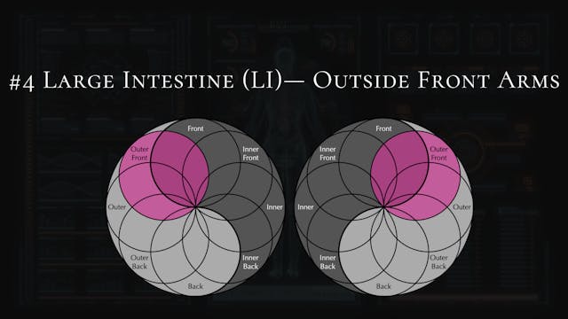 #4- Large Intestine- Top of Shoulders, Neck