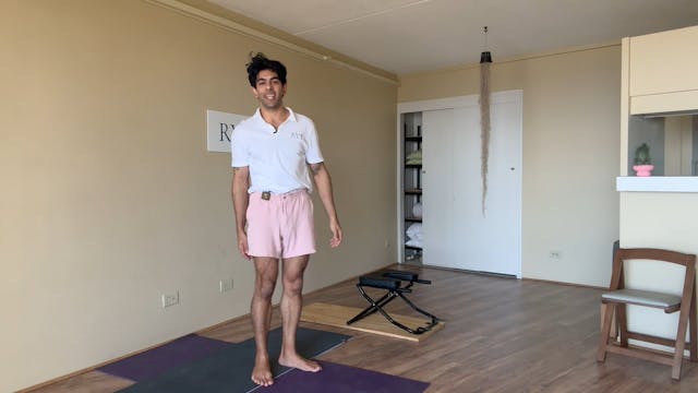 Gallbladder 4- Turning Out, Standing