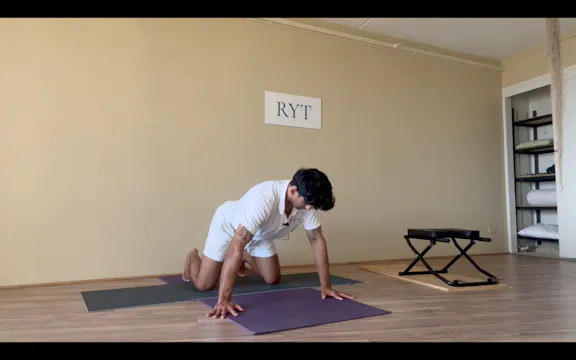 Heart 5 - Chest, Biceps