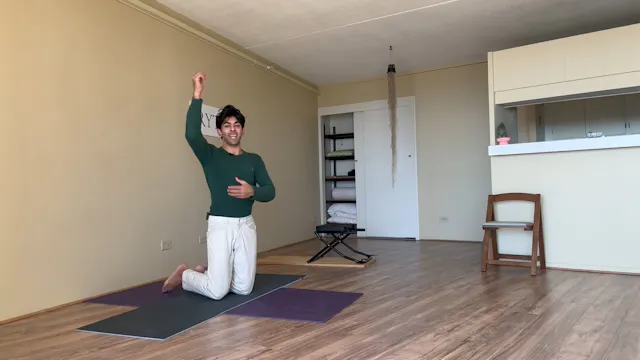 Day 9- Shoulder Girdle Flow Level 2- ...