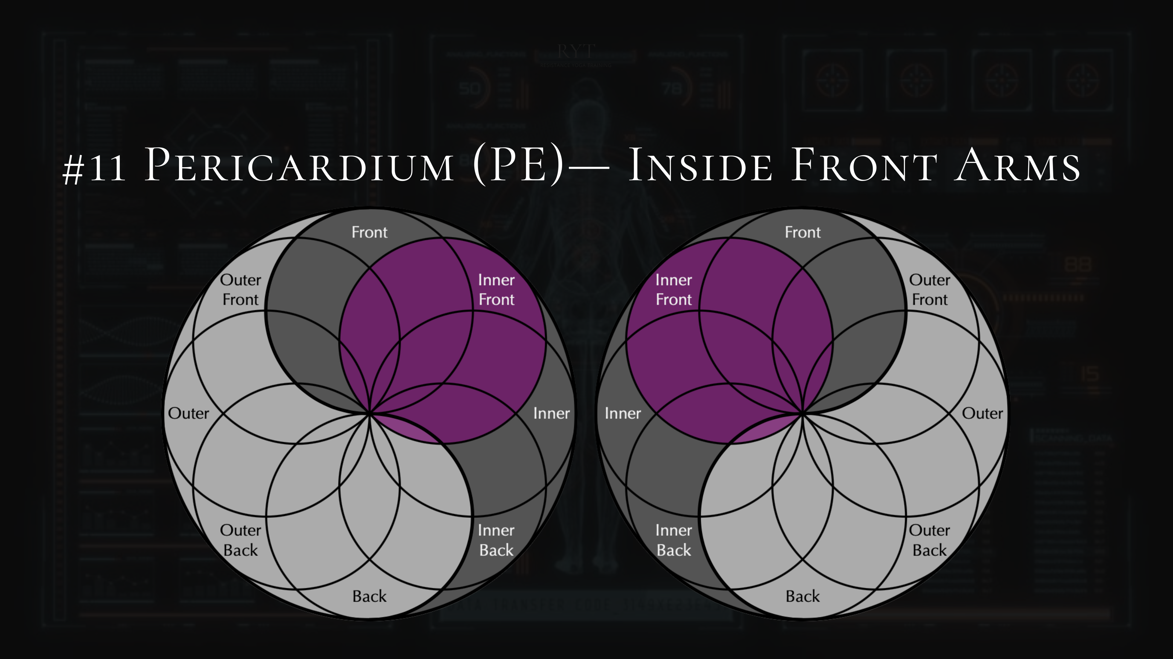 #11- Pericardium- Upper Chest, Forearms