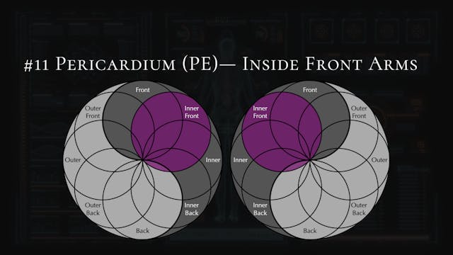 #11- Pericardium- Upper Chest, Forearms
