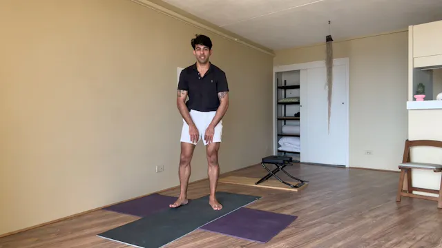 Day 18- Standing Hip Girdle Flow - Liver