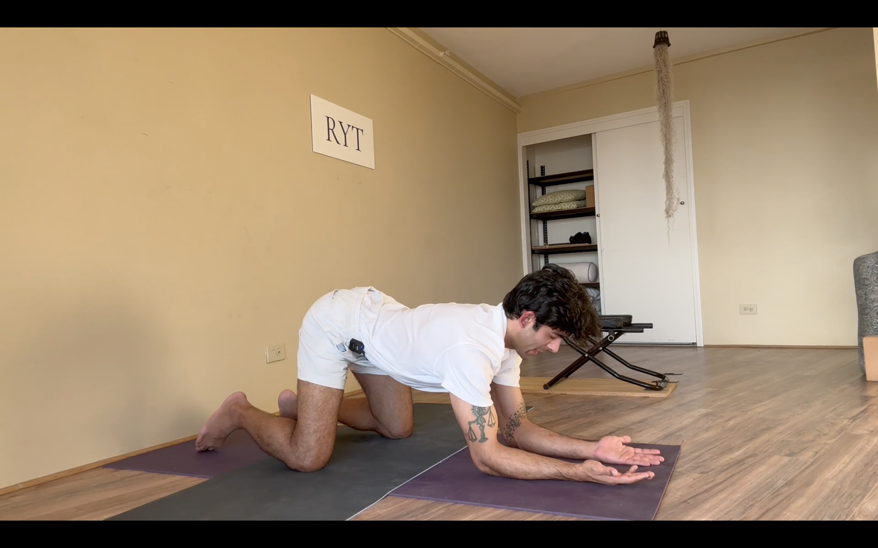 Day 12- Appendix-Thymus Sets- Level 1