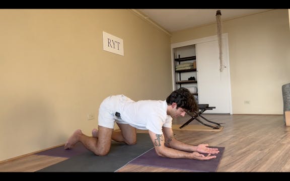 Day 12- Appendix-Thymus Sets- Level 1