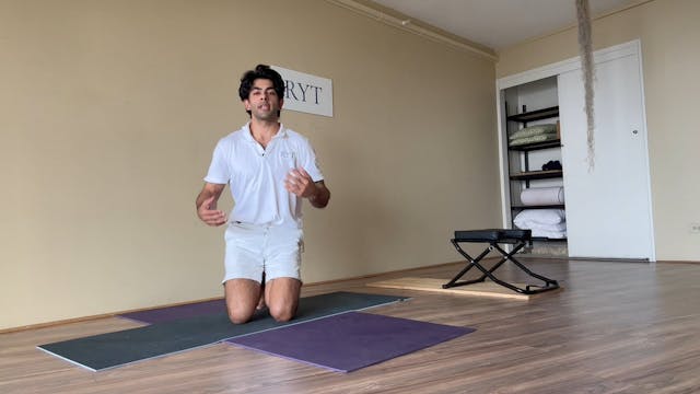 Day 23- Pericardium-Skin Sets Level 2