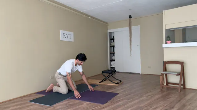 Day 8- Shoulder Girdle Flow Level 1- ...