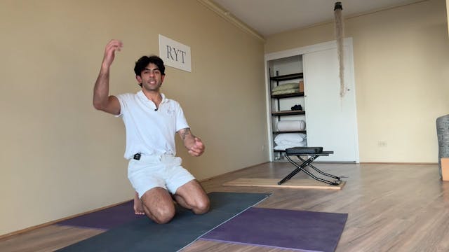 Day 12- Appendix-Thymus Sets- Level 1