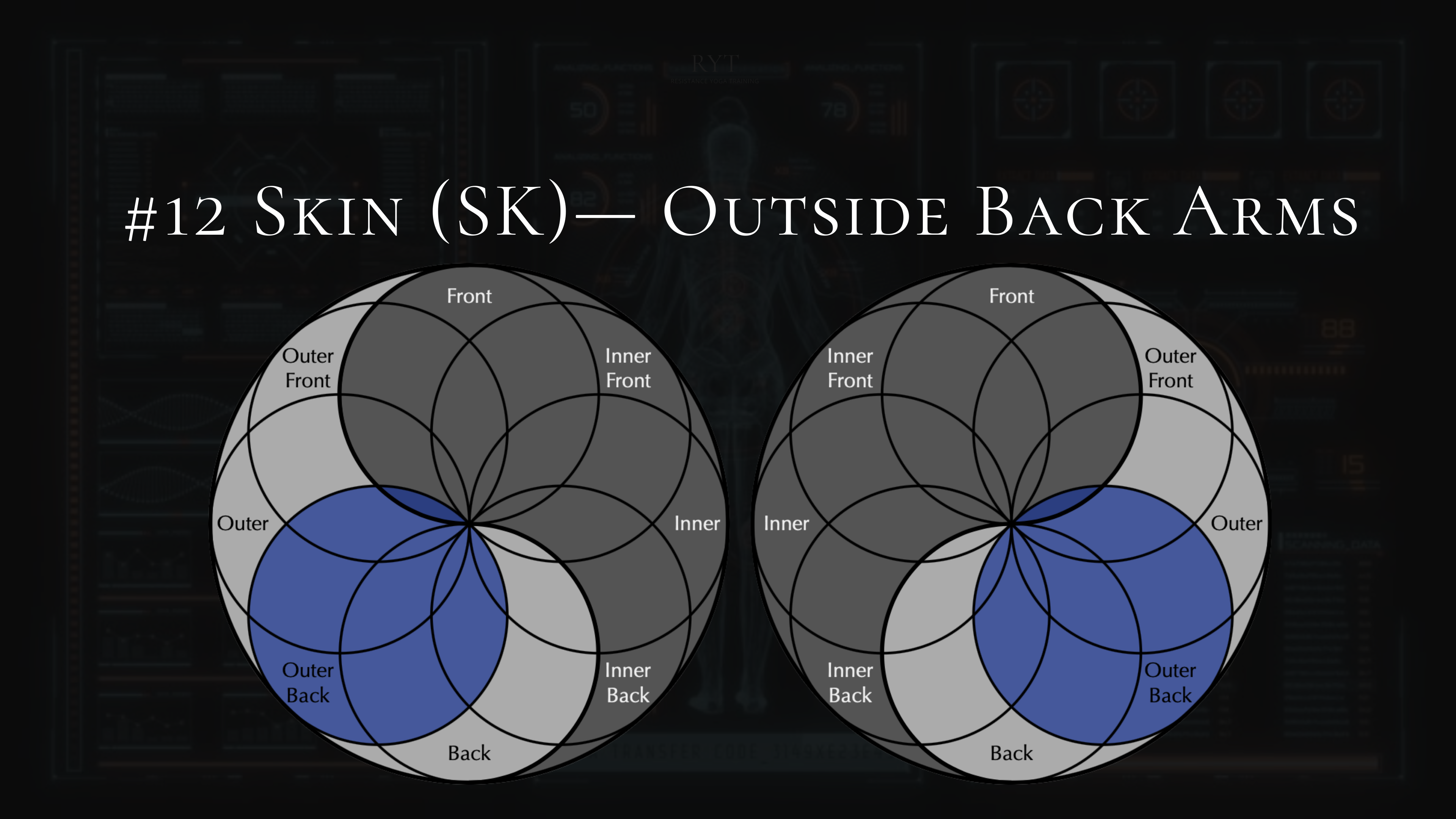 #12- Skin- Back of Shoulders, Triceps