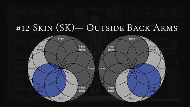 #12- Skin- Back of Shoulders, Triceps