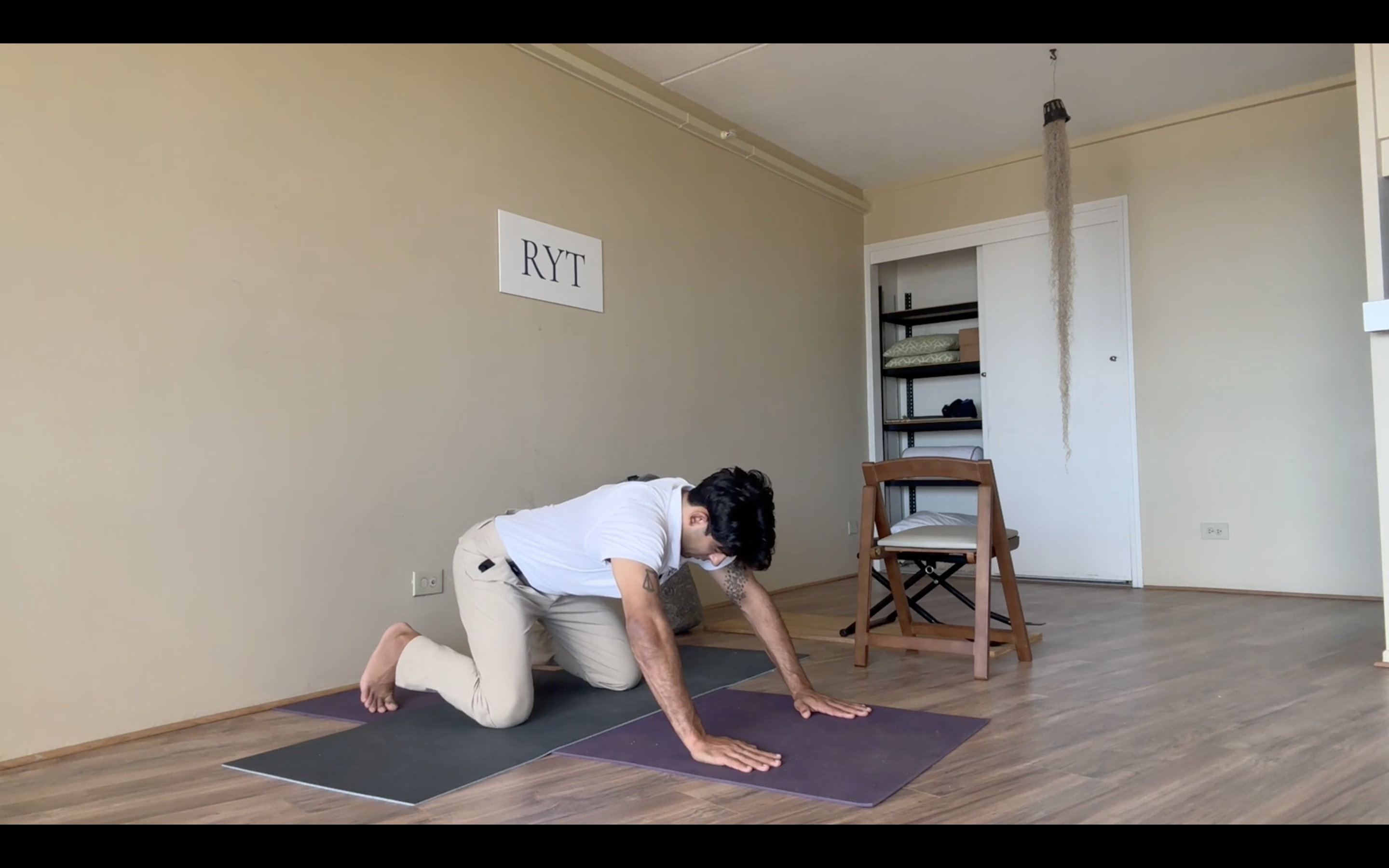 Skin 3 - Back of Shoulders, Triceps