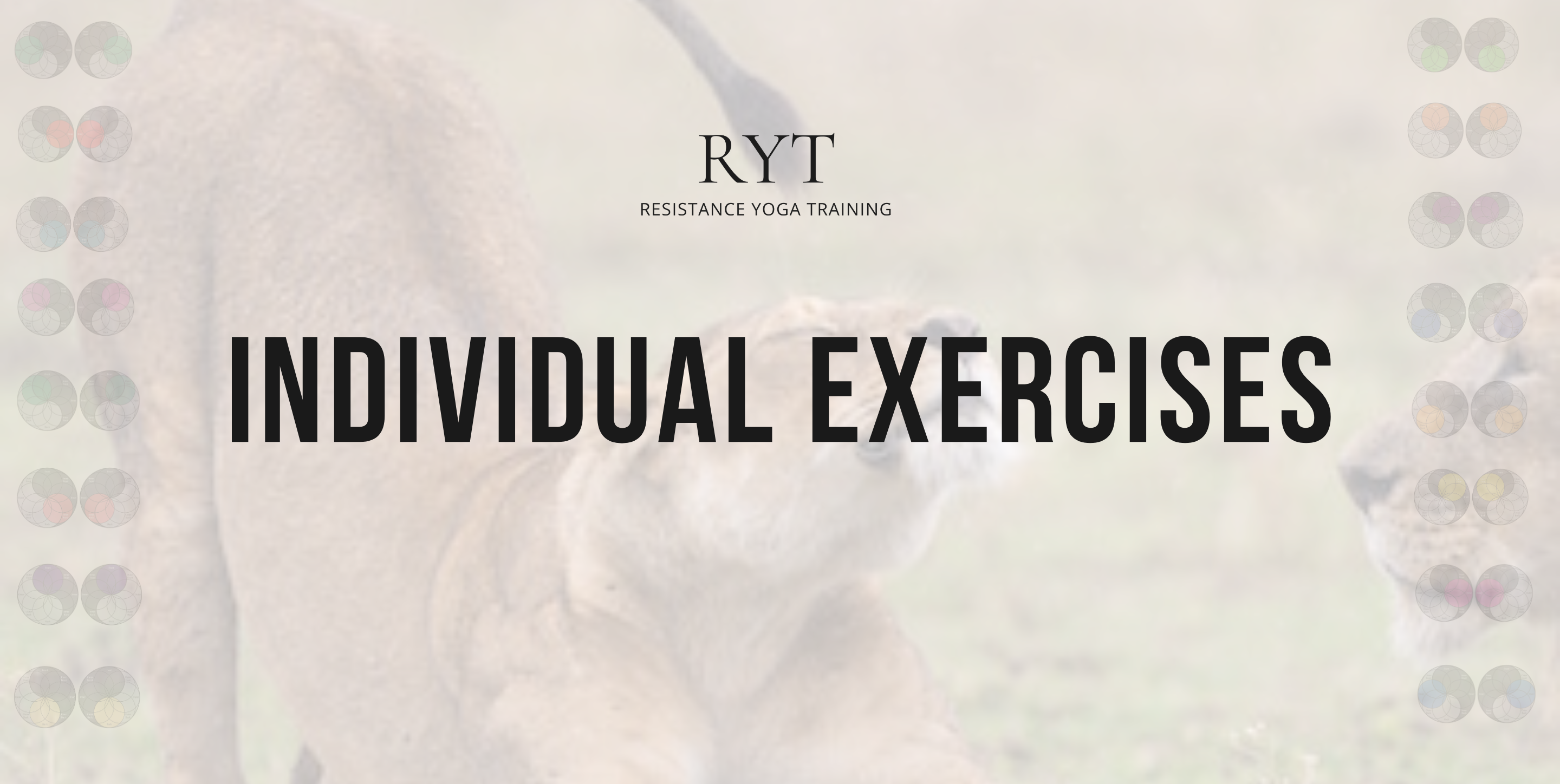 Individual Exercises