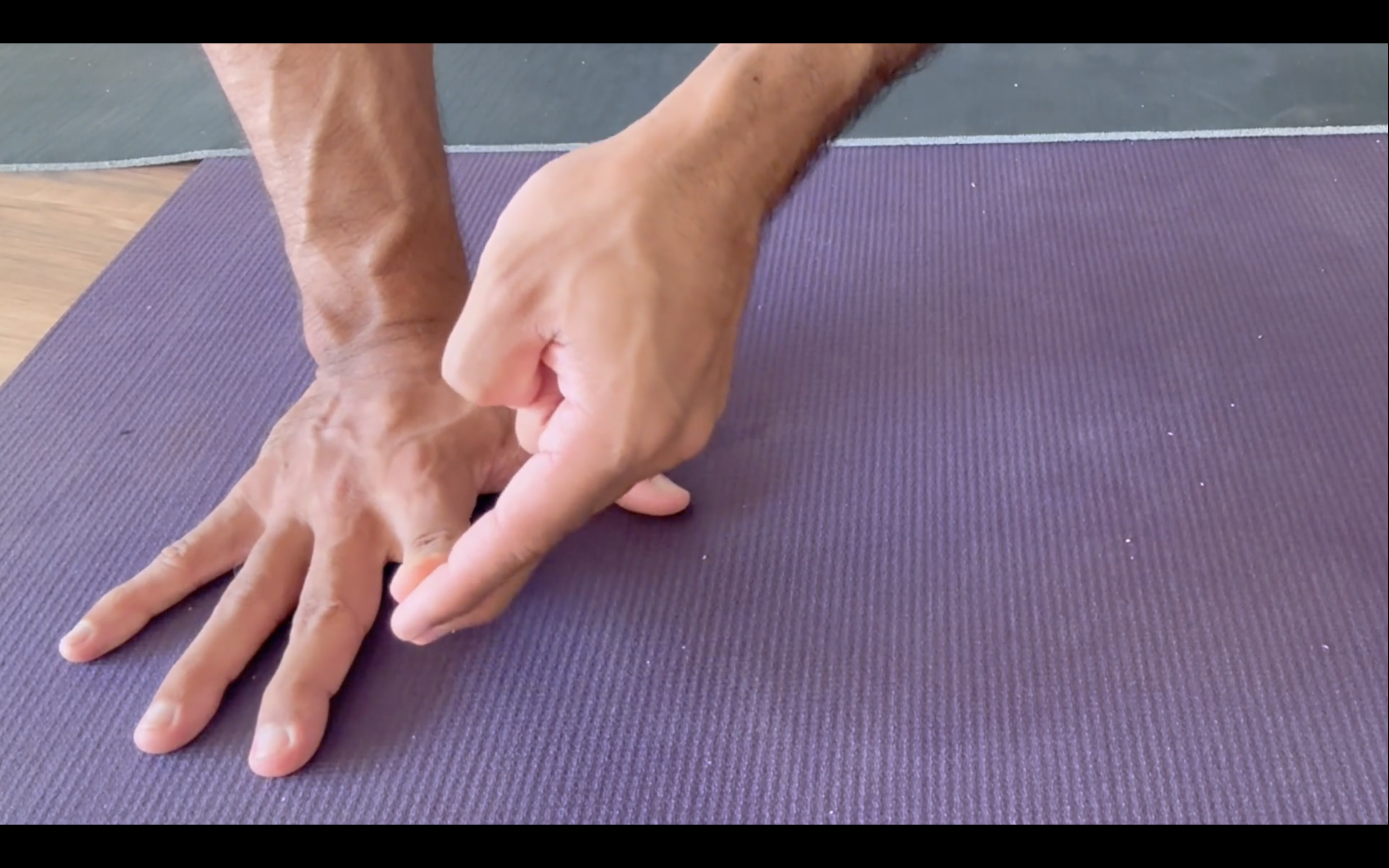 Appendix 2 - Wrists, Hands, Fingers