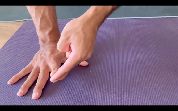 Appendix 2 - Wrists, Hands, Fingers
