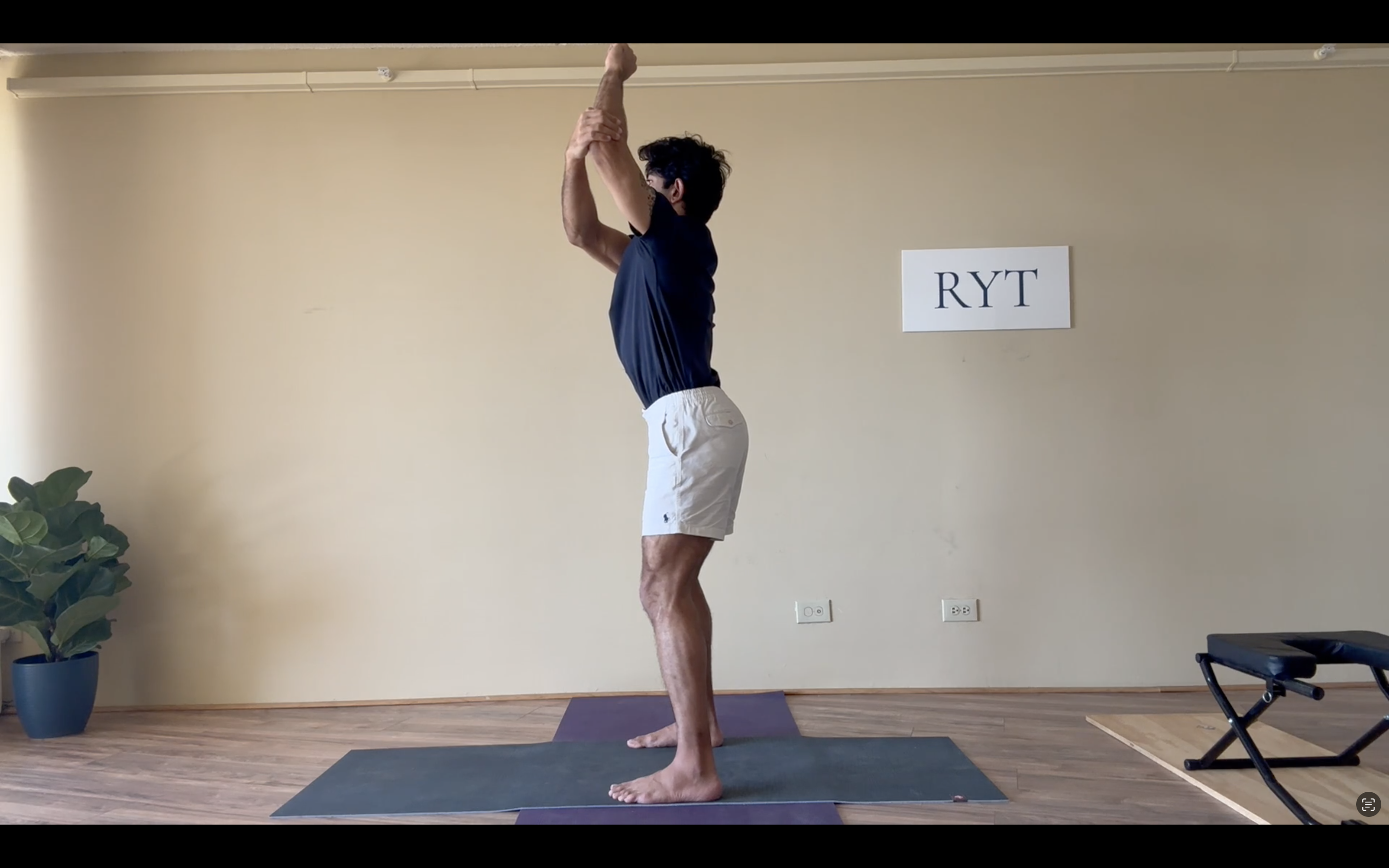 Day 2- Lung-Large Intestine Sets- Level 1