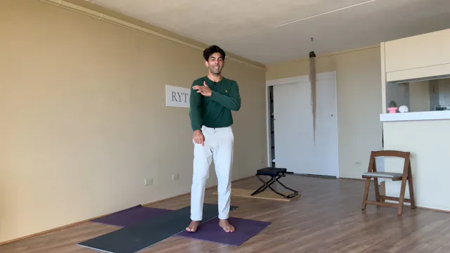 Day 15- Shoulder Joint Flow Level 1-L...
