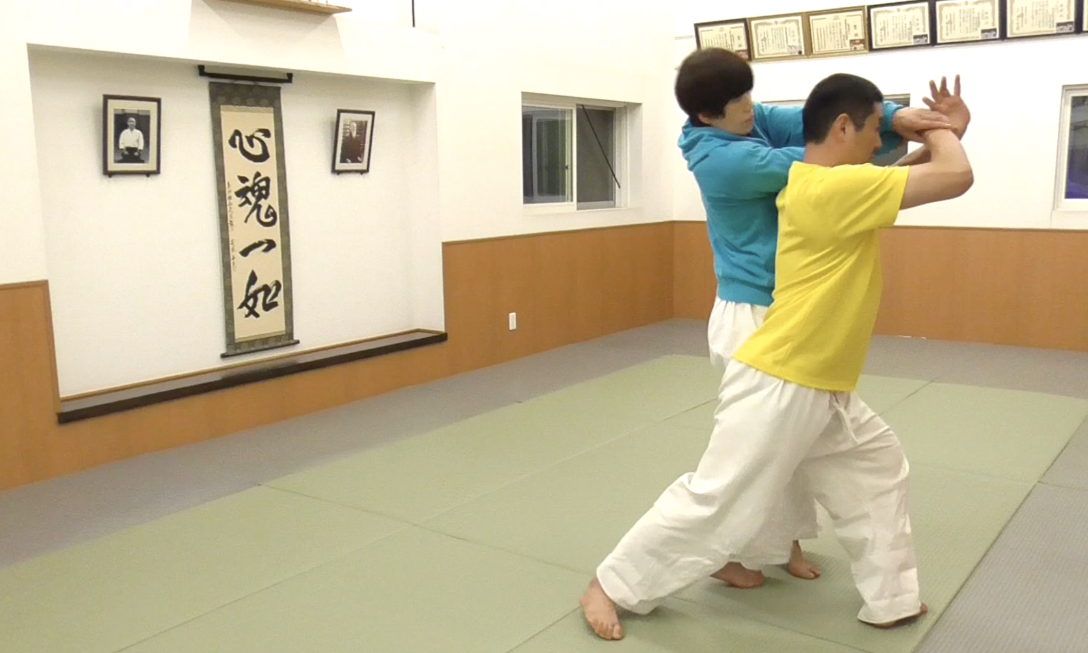 2021/04/25 龍オンラインfor all 三橋先生 Ryu ONLINE for all ZOOM Aikido: Mitsuhashi Sensei