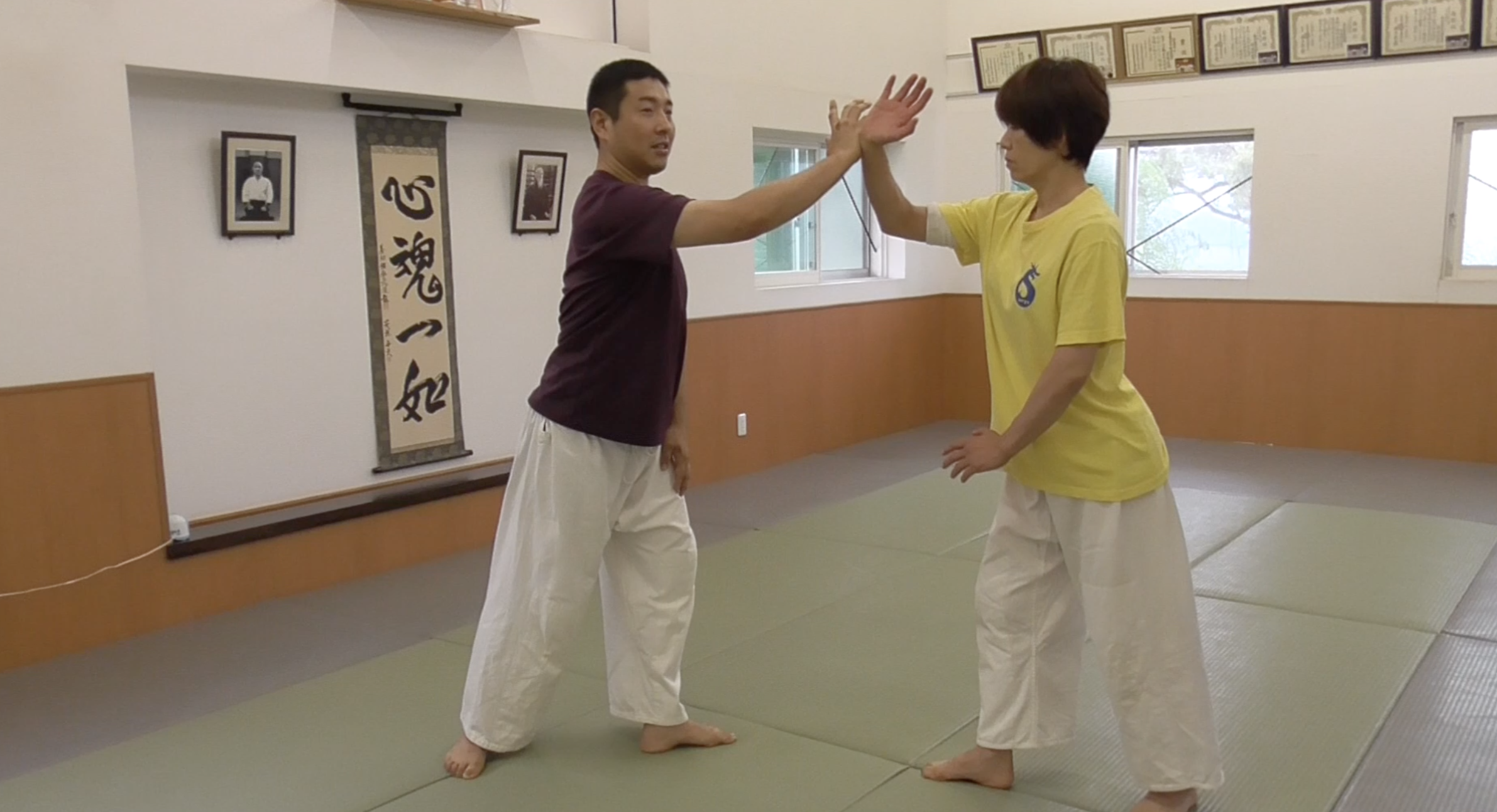  2021/8/15 龍オンラインfor all: 三橋先生 Ryu ZOOM Aikido: Mitsuhashi Sensei