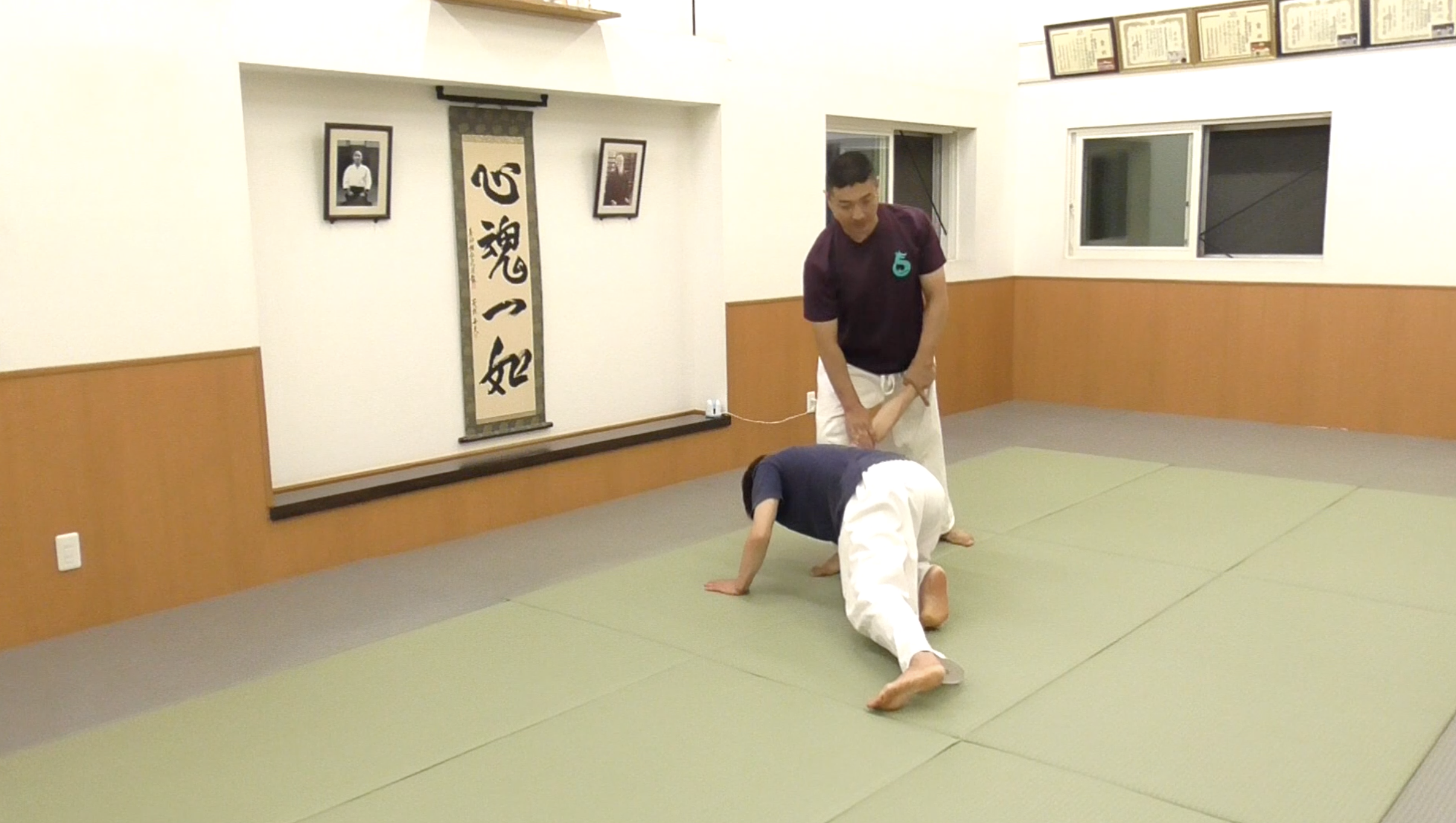  2021/7/18 龍オンラインfor all: 三橋先生 Ryu ZOOM Aikido: Mitsuhashi Sensei