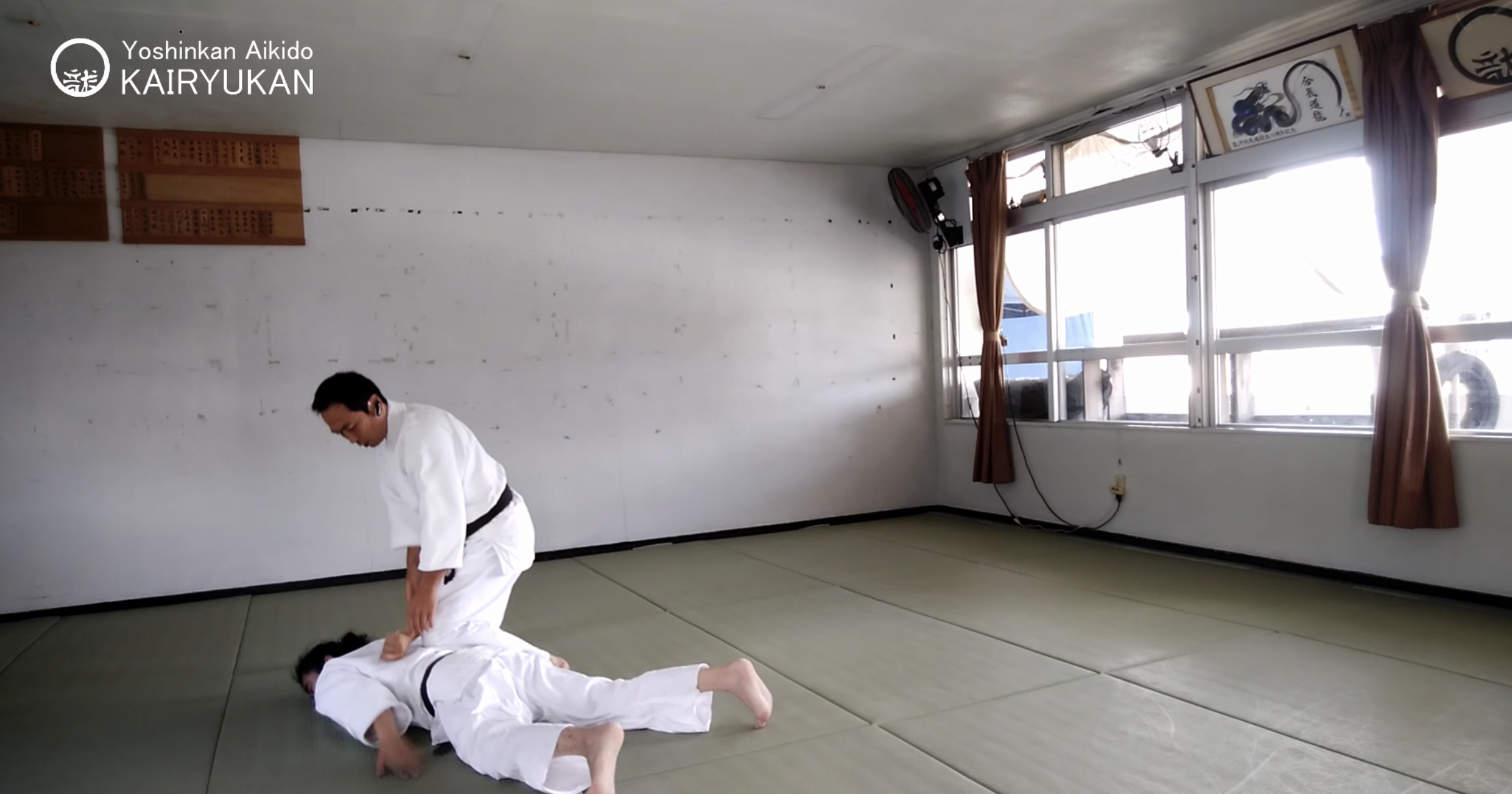 2021/6/12 龍オンラインfor all: 比嘉先生 Ryu ZOOM Aikido: Higga Sensei