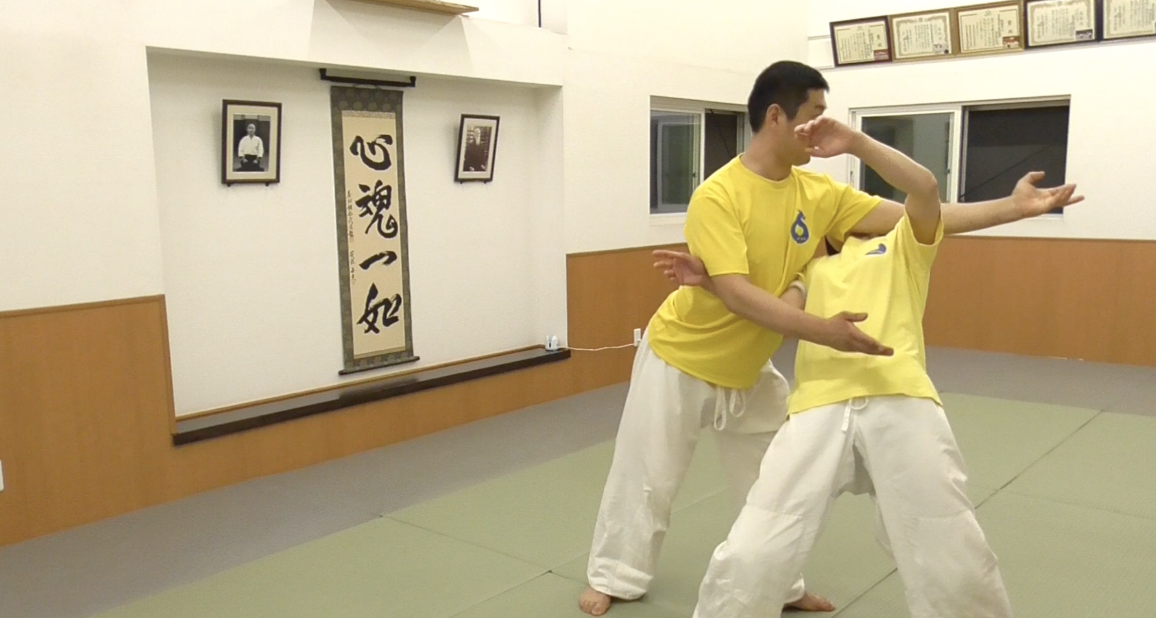 2021/6/19 龍オンラインfor all: 三橋先生 Ryu Online for all ZOOM Aikido: Mitsuhashi Sensei