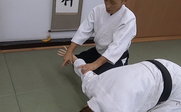 座り技正面打ち二ヶ条抑え（二）Suwari waza shomen uch...