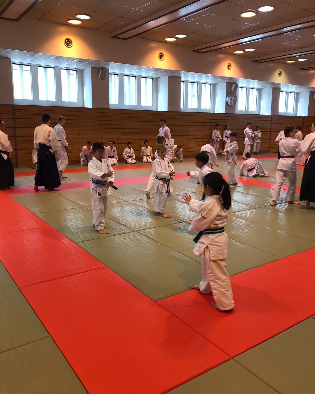 少年部　審査科目 (DVD版）Kids Test Syllabi (DVD version)