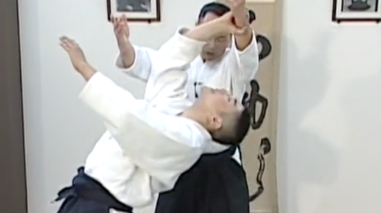 極意シリーズ　Special Series