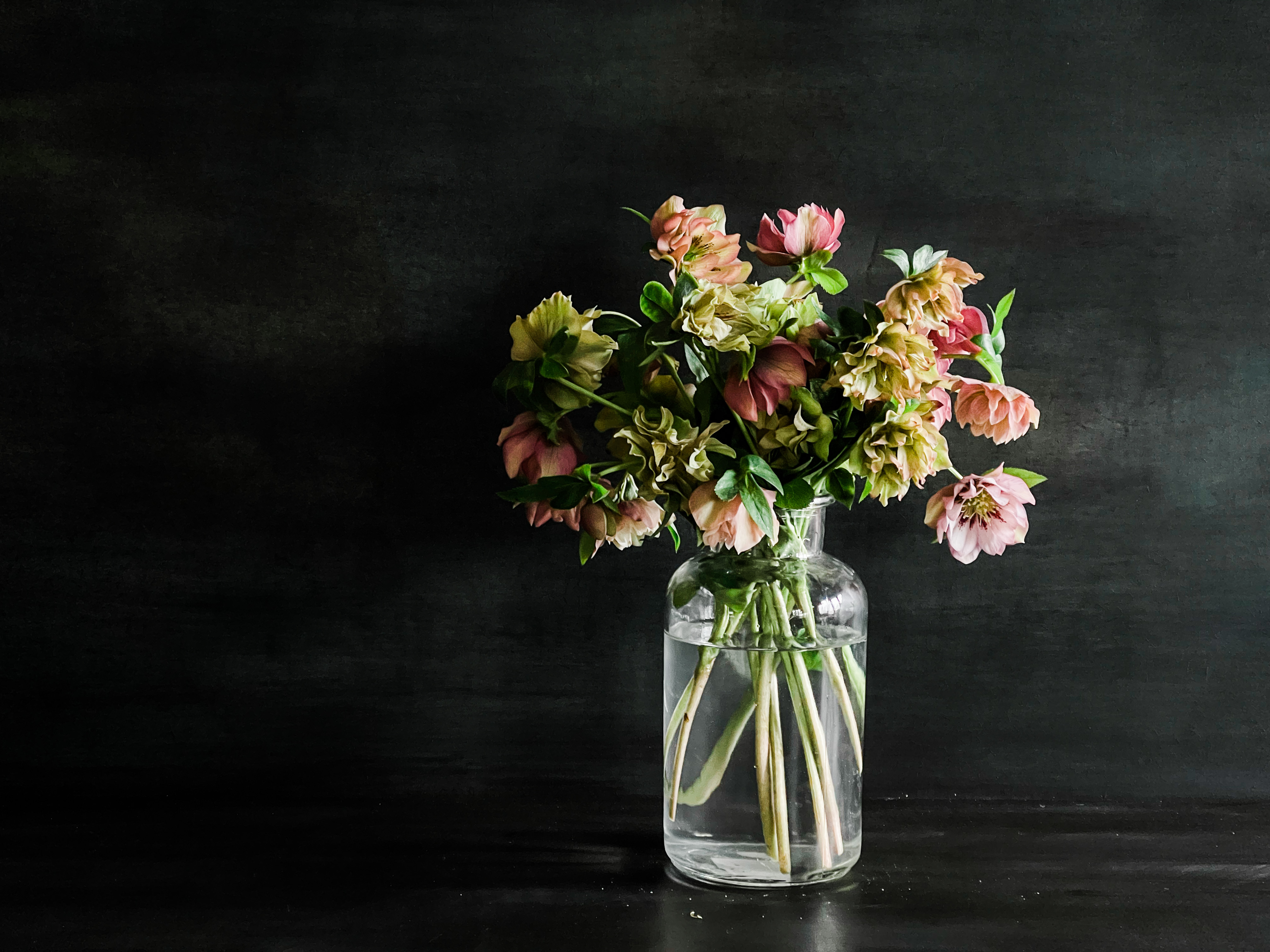 Styling and photography